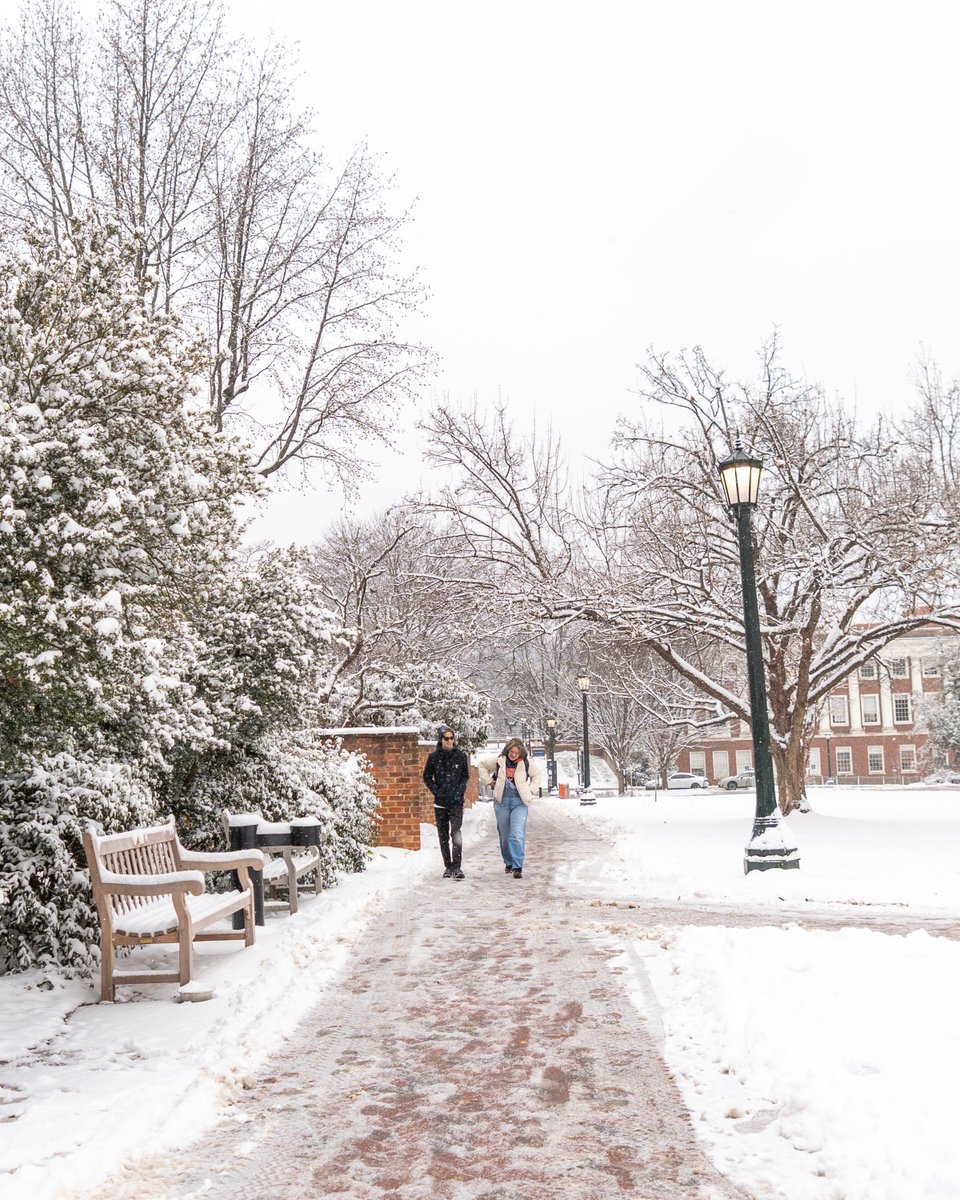 First snow ❄️⛄💙