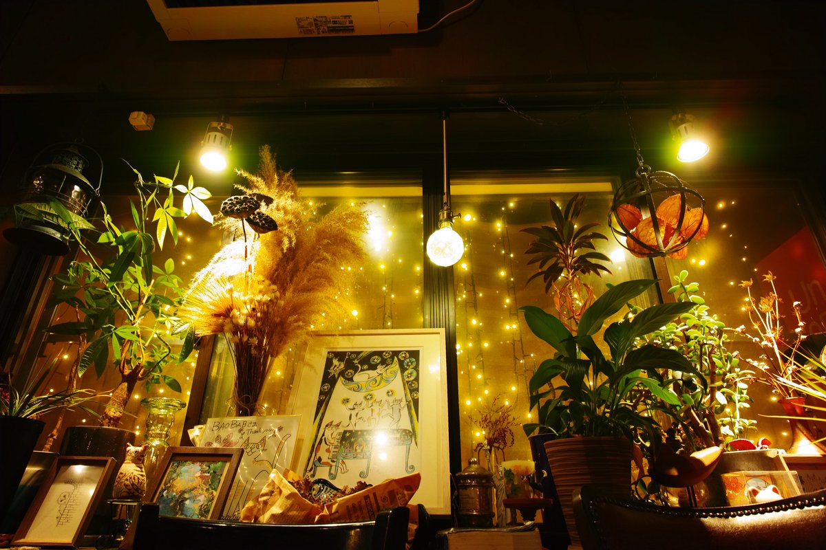 cafe_baobab's tweet photo. 今年も点灯しやした。 https://t.co/p97TV14adi