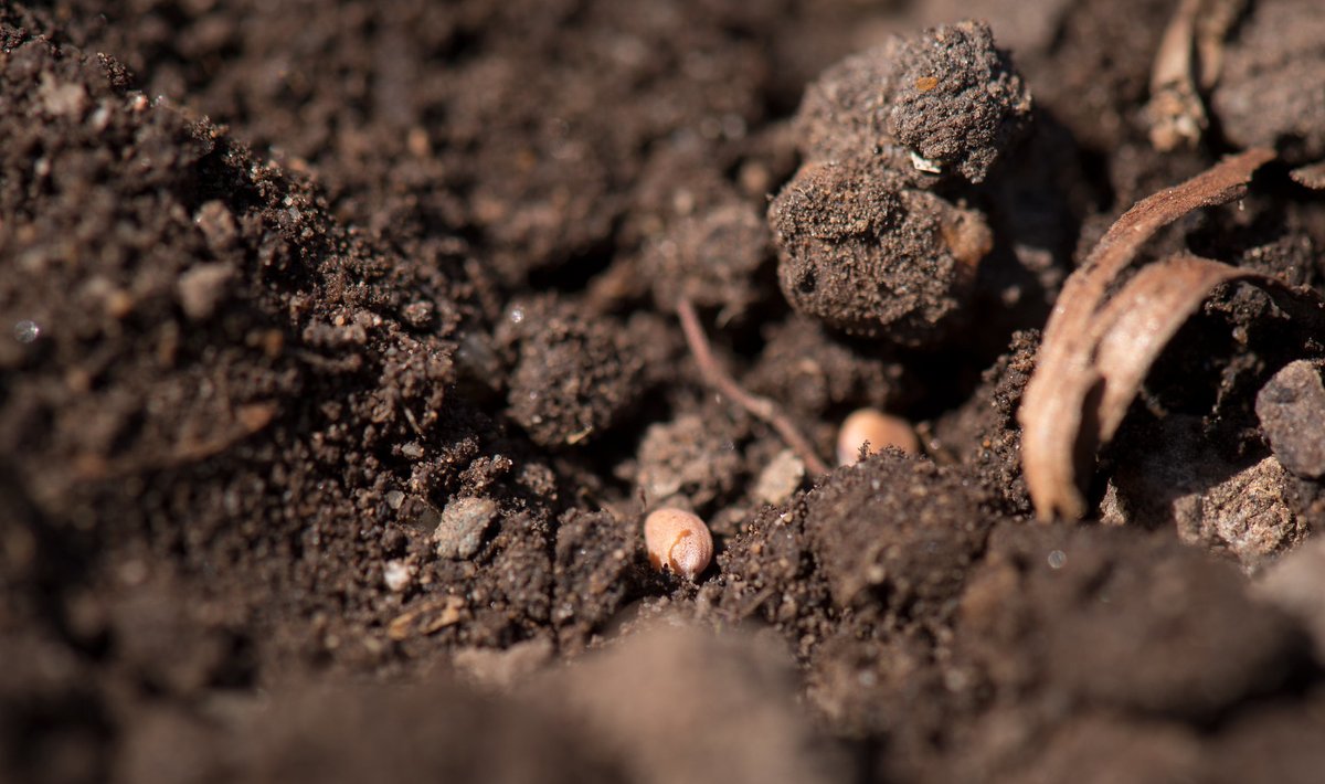 Knowing your soil type is an important part of making land-use and management decisions. The Web Soil Survey is our free tool that can help you identify your soil type and make informed decisions. websoilsurvey.sc.egov.usda.gov/App/WebSoilSur…