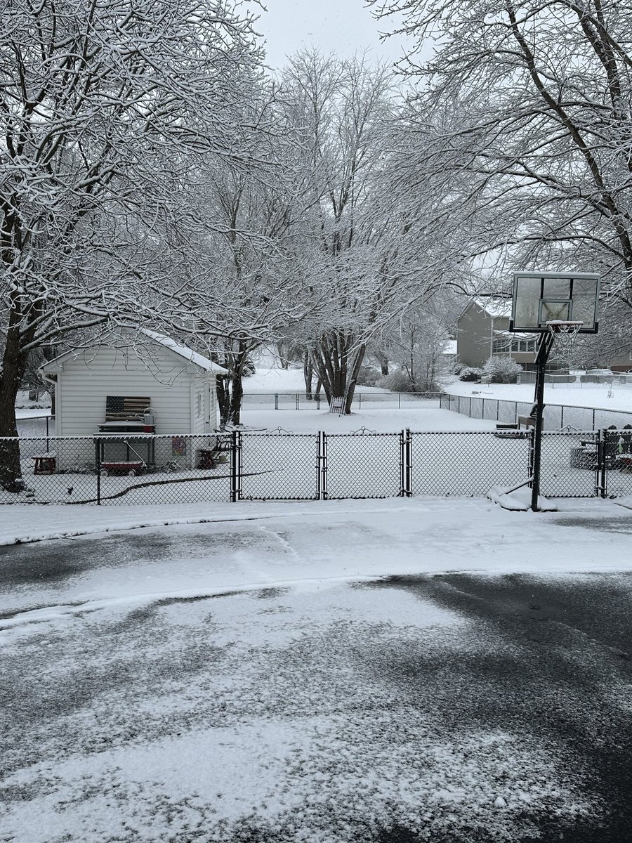 skinneyone38's tweet photo. Winter Wonderland!! https://t.co/maQnh7Mf5X