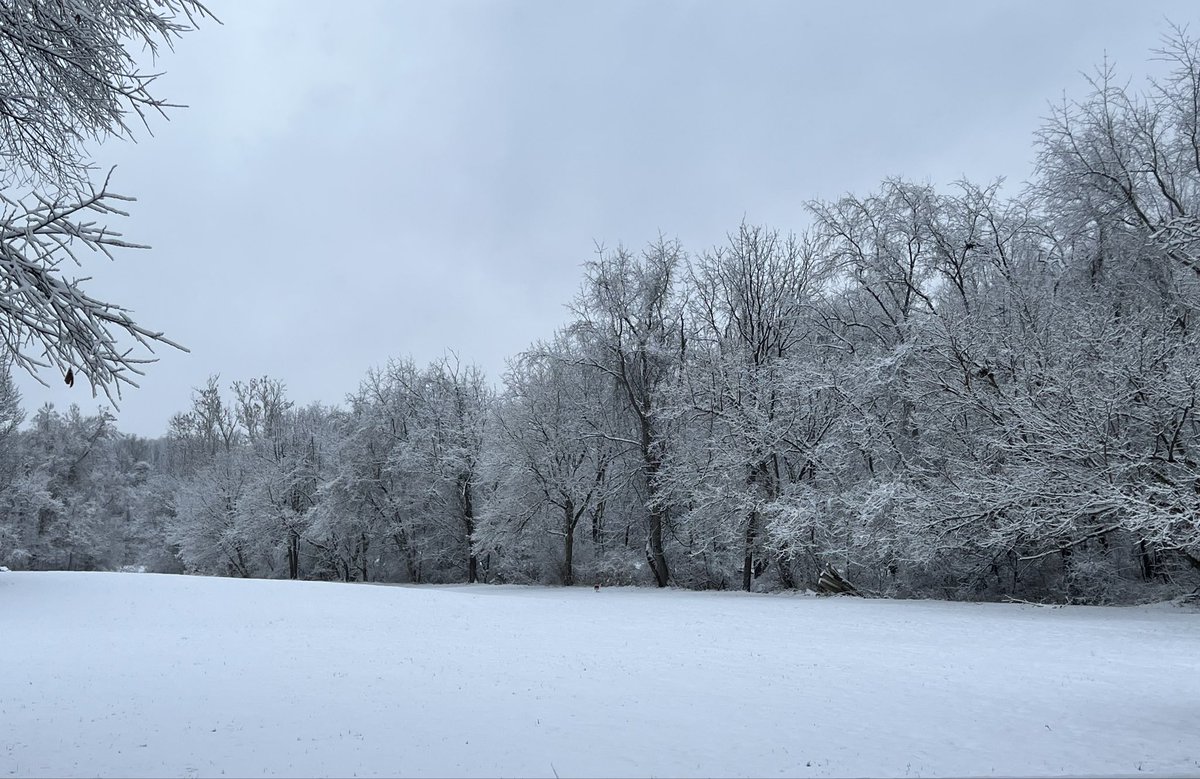 skinneyone38's tweet photo. Winter Wonderland!! https://t.co/maQnh7Mf5X