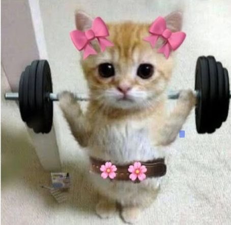 who knew the cure to sadness was 200 squats mhmmm