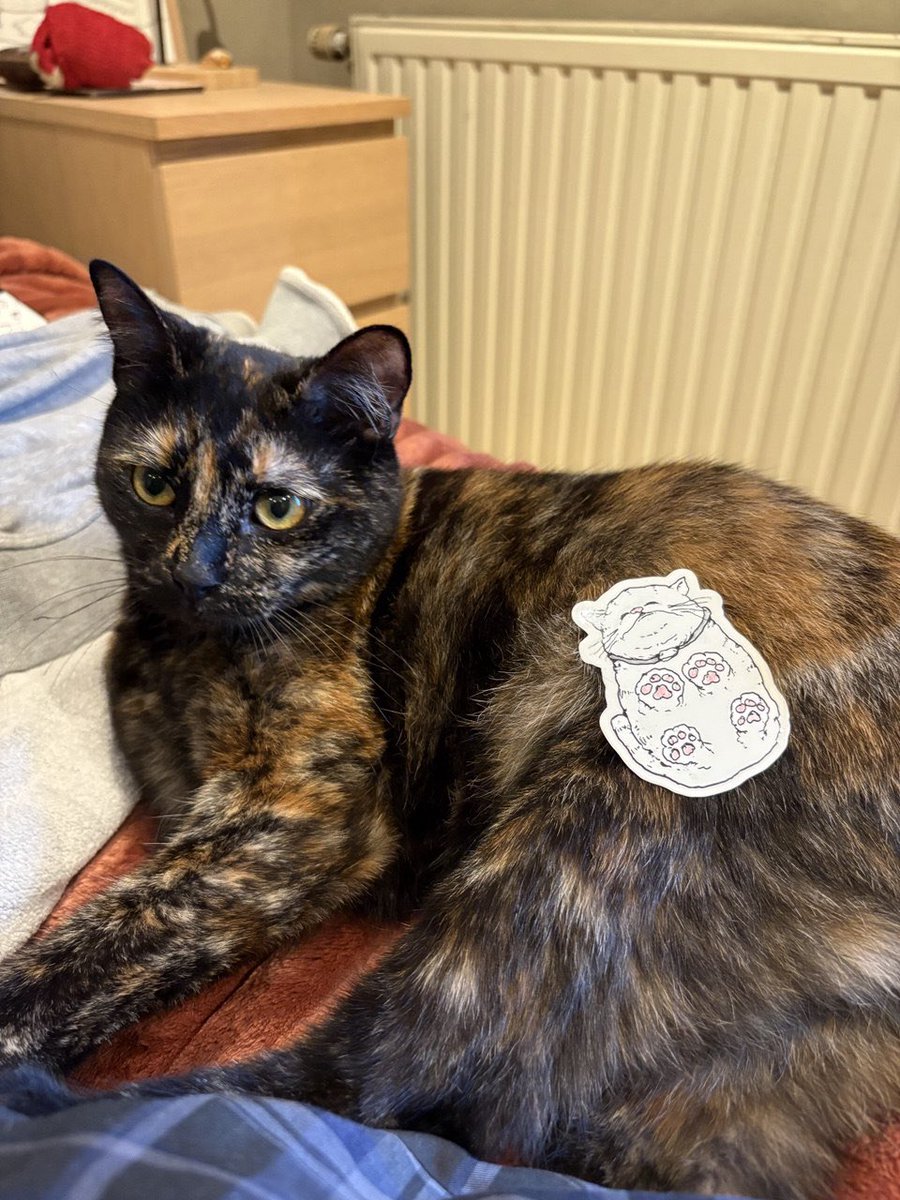 driekwartsbroek tweet media