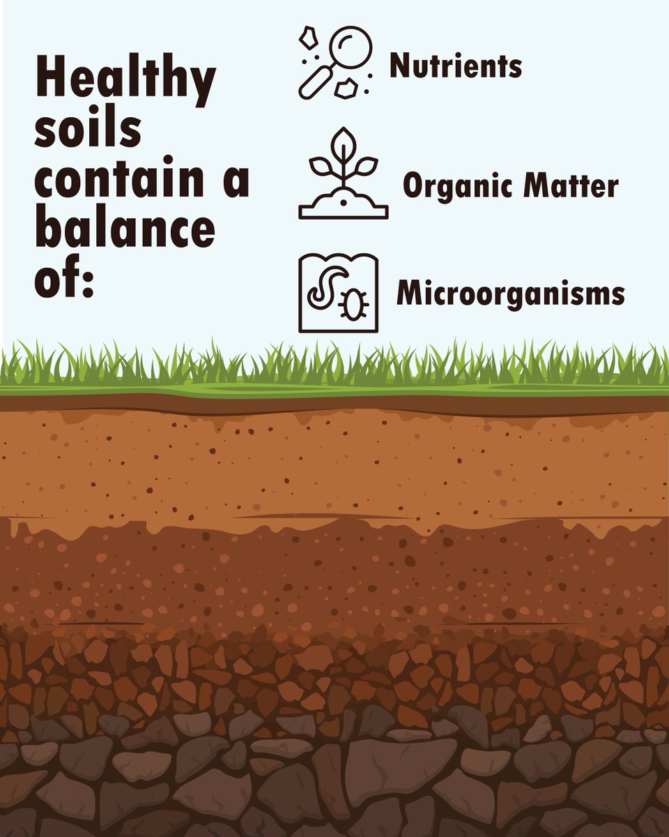 ValentBioStim tweet media