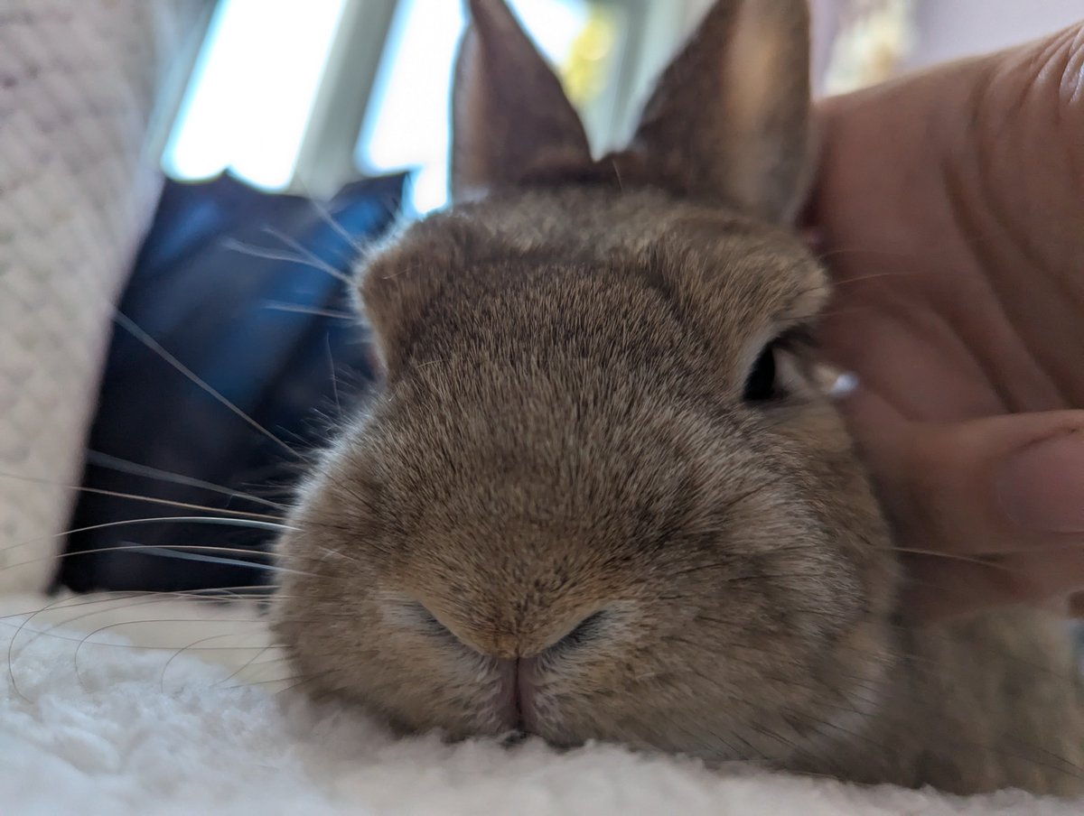 Nubster & Baby Mona (@Nubster13) / Posts / X