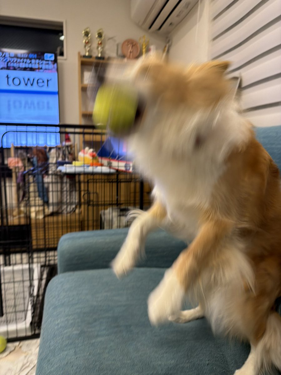 ナイスキャッチ！！！