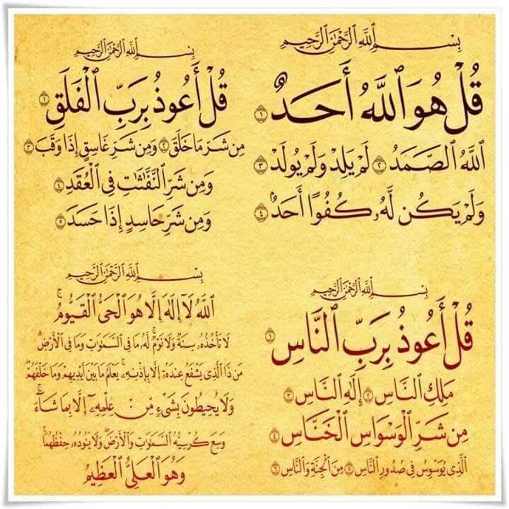 🦋Hosam Ashraf🦋 tweet media