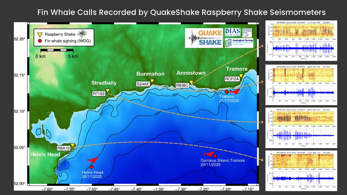 QuakeShake tweet media
