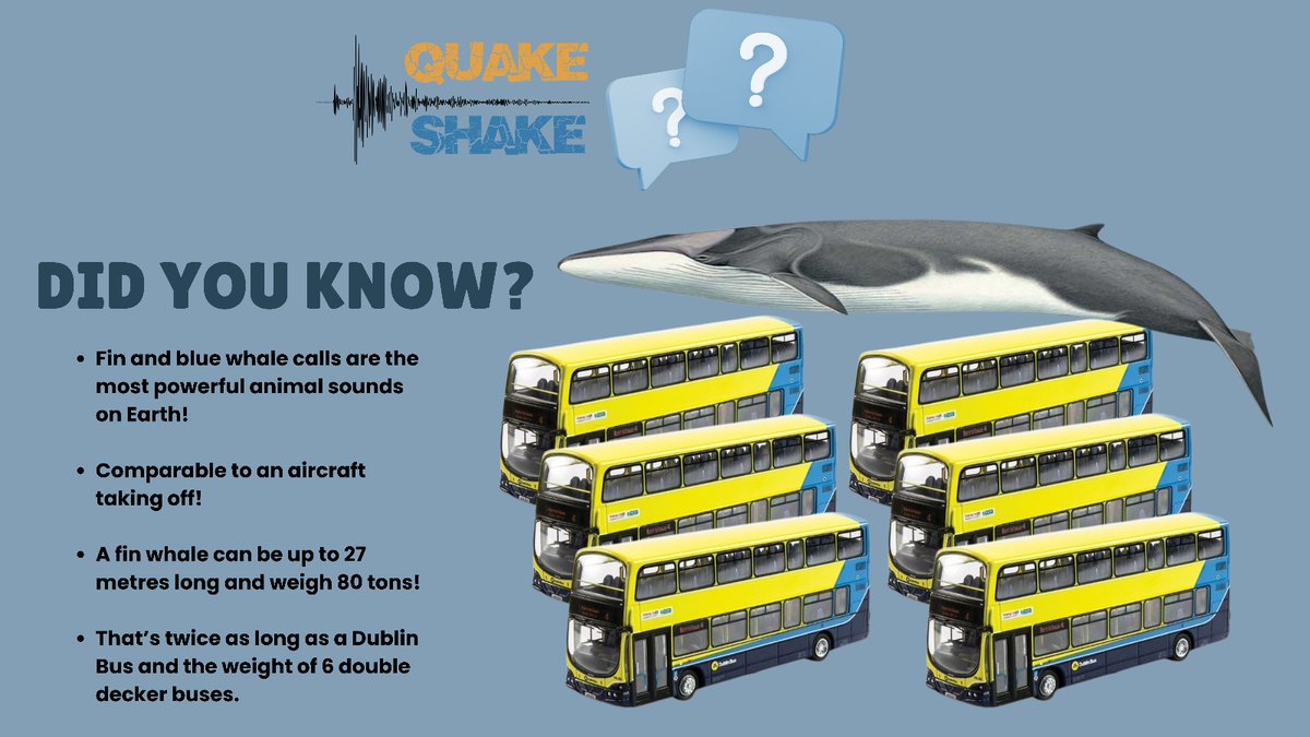 QuakeShake tweet media