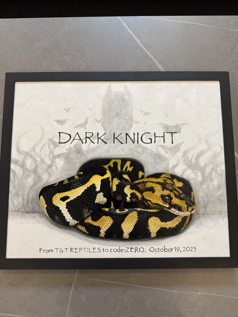 codeZERO0407's tweet image. 明日から、T&amp;amp;T  REPTILESさんお手伝いで、
イベントRAMPAGEに行ってきます〜
今週は店舗の方お休みになります、
ご迷惑をおかけしますが、宜しくお願いします🤲
 #RAMPAGE
 #ボールパイソンイベント
 #ブリーダーズイベント
＃ボールパイソン
＃ボールパイソン専門店
＃爬虫類
＃レプタイルショップ