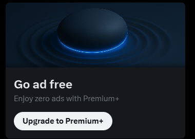 Roaring Hammy 🏇🌹 tweet media