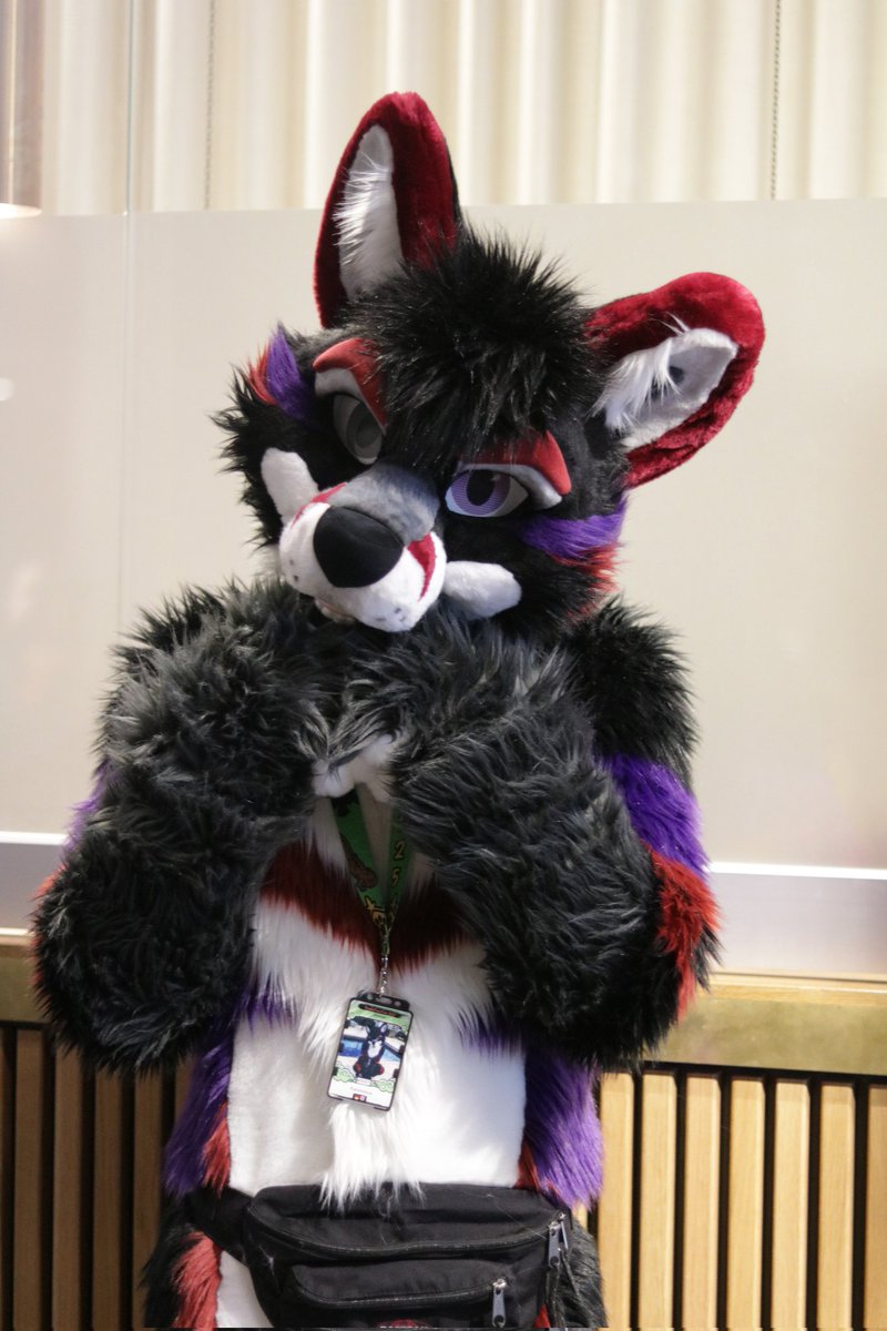 Am I a pwetty foxxo?

#FursuitFriday