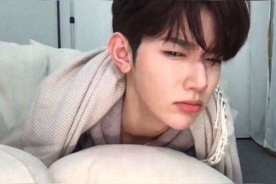 PSA‼️‼️
 
Good evening everyone!

I would like to annouce that Kiran (<a href="/Resonelles/">Est.</a>) is currently on long rest for indefinite time😔, anything regarding to Kiran, you may contact me on my telegram!

Thank you so much<3