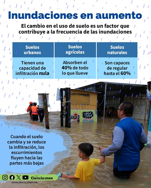 Ciencia_UNAM's tweet image. ¿Tu trayecto se ha visto afectado por #inundaciones?
En el Día Mundial del #Suelo, te compartimos este artículo sobre los factores que influyen en la frecuencia de las inundaciones, un fenómeno en el que debemos asumirnos como generadores de #riesgo: cutt.ly/orNks8bU