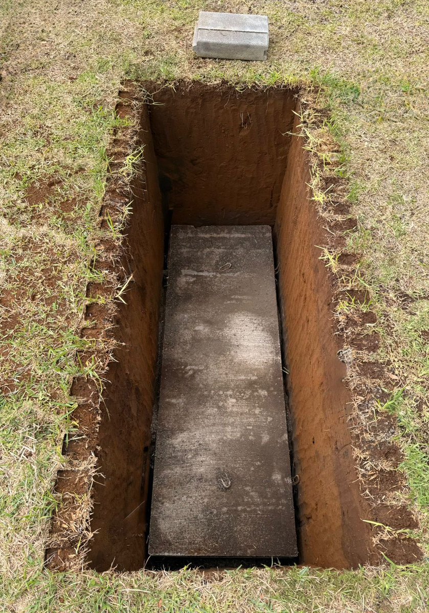Ayer compré espacios en un cementerio.

Cosas que se postergan hasta que llega el momento de ser adulto responsable hasta en el último detalle.