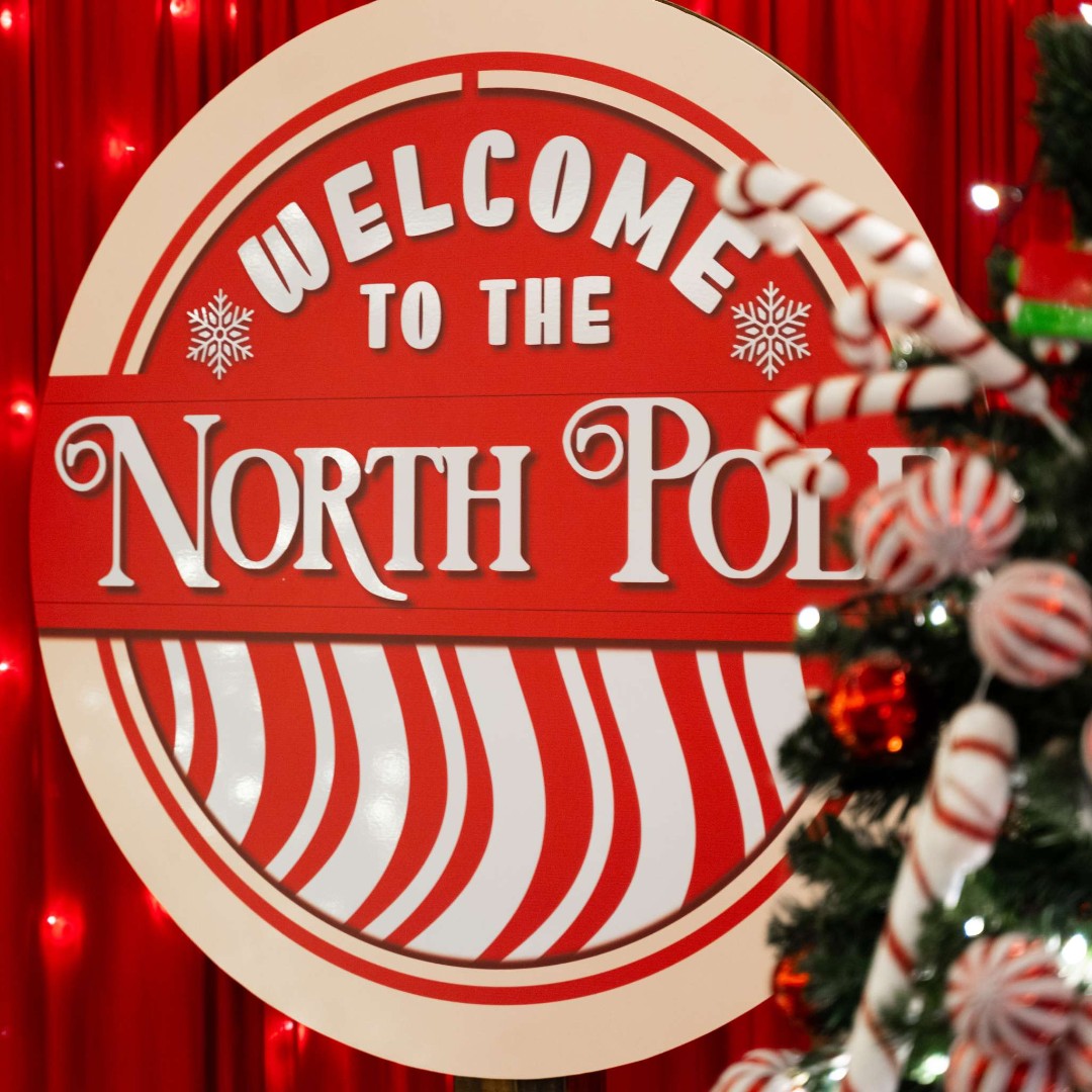 There’s something so magical about this time of year 🎄

The twinkly lights, the cosy corners and that warm festive feeling when you arrive at Redcastle Hotel &amp; Spa. Plan your stay away this Christmas 
ow.ly/TngG50XC1wG

#redcastlehotelandspa