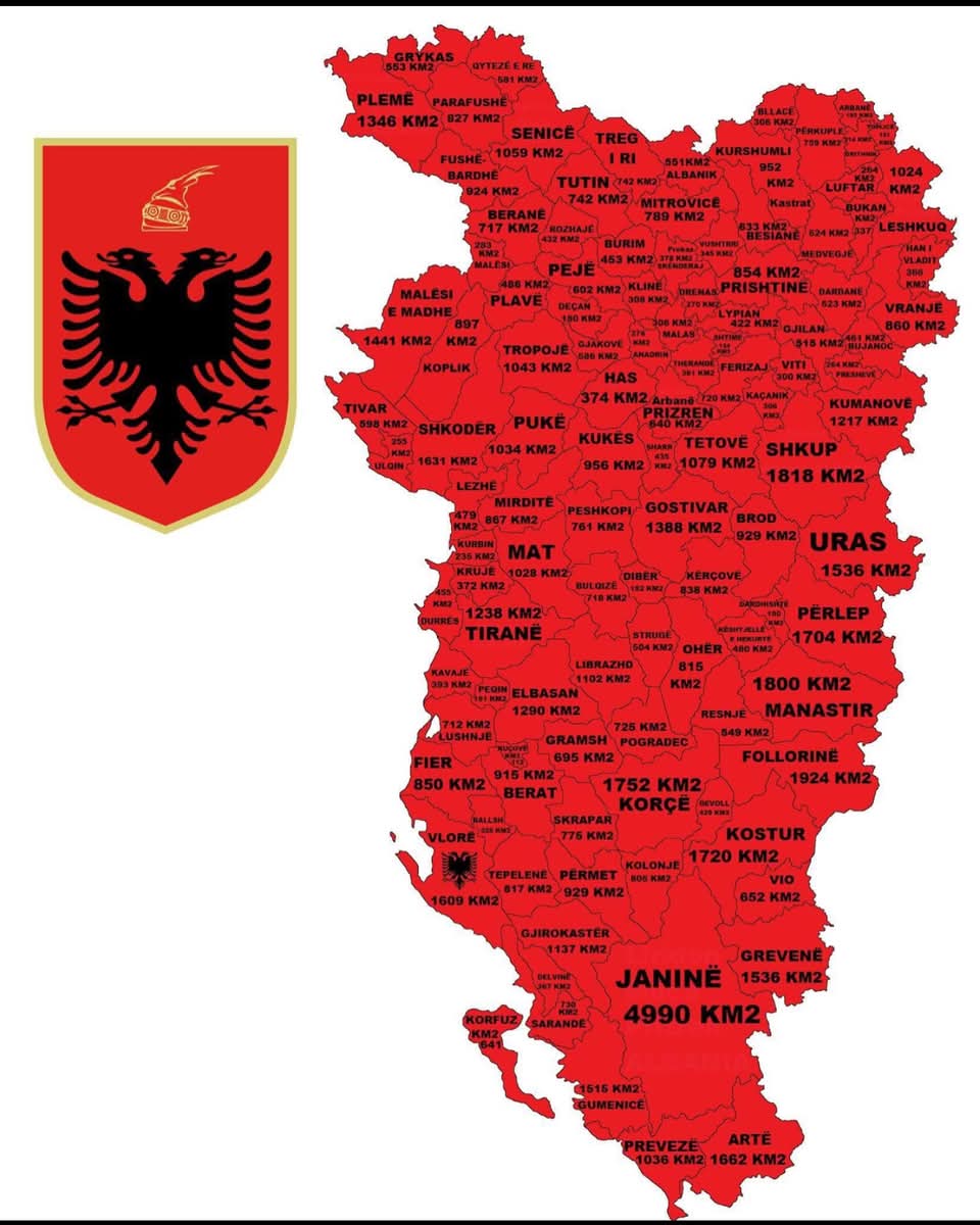 Dominus Albaniae tweet media