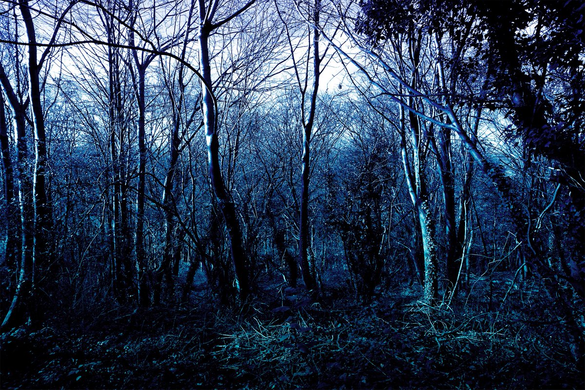 Dorothee tweet media