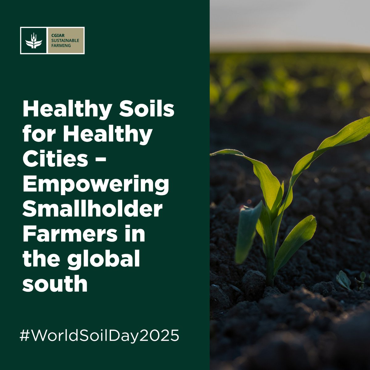 CGIAR Sustainable Farming Science Program (SFSP) tweet media