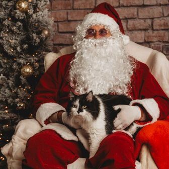 HumaneSocietyJeffCty tweet media