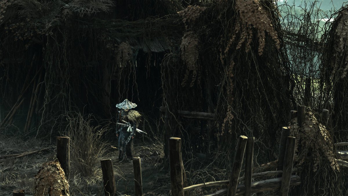 Disco 🌿🔦 tweet media