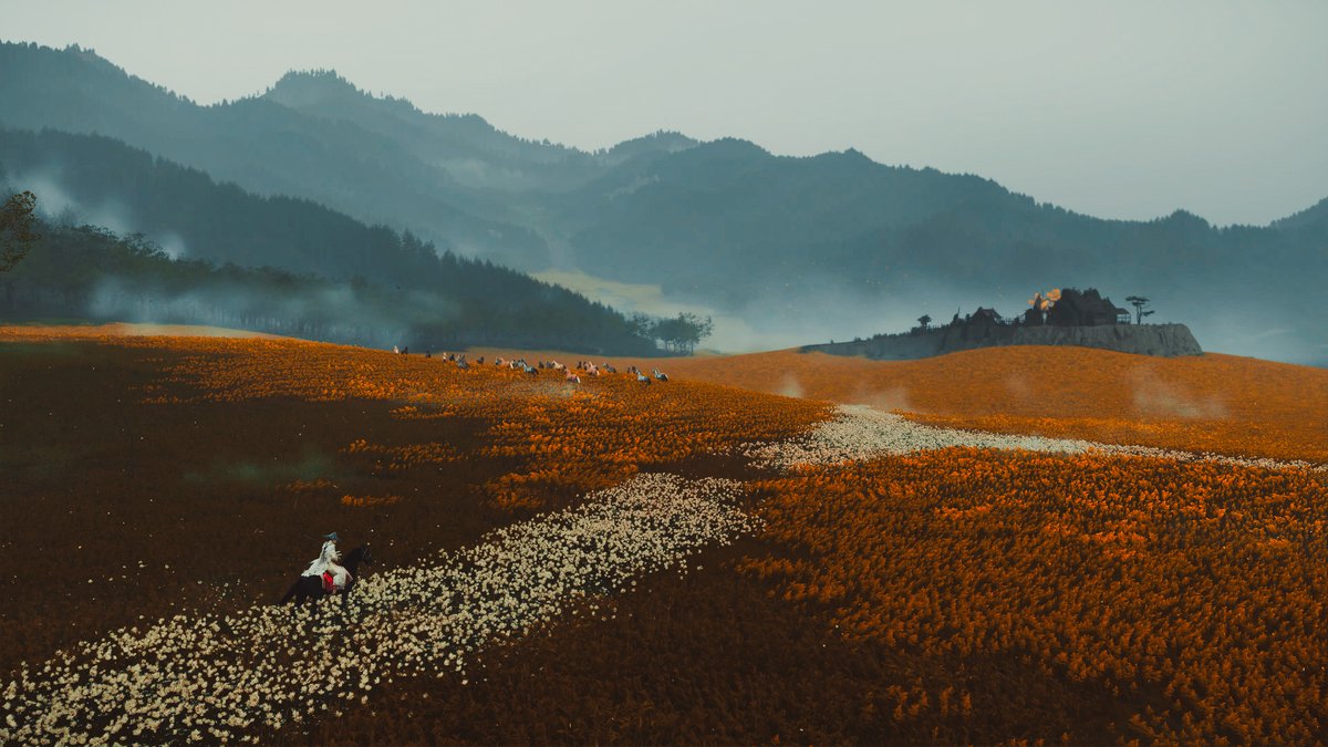 Disco 🌿🔦 tweet media