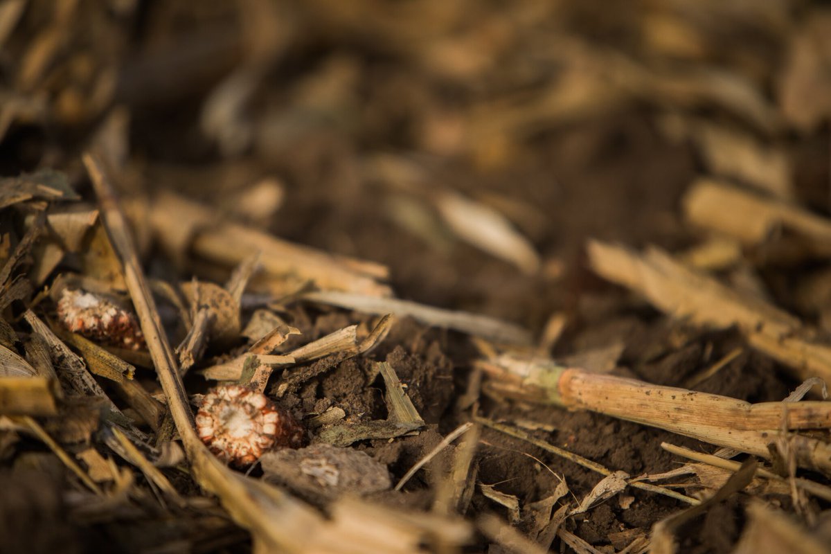 CoverCress Inc. tweet media