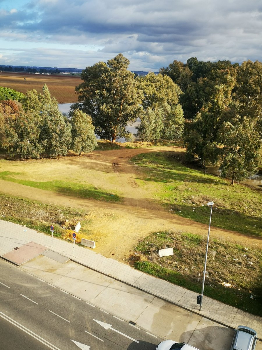 Otra vez!!! Llegan los domingos de Navidad y ya sabemos como se pone el mercadillo, más sitio para aparcar, algún método eficaz de una vez para que no entren los coche y proteger la LAGUNA DEL SAPO <a href="/jeswonehouse/">Jesus M. Castillo</a> <a href="/DtoEsteAlcTorre/">Distrito Este-Alcosa-Torreblanca (Sevilla)</a> <a href="/Ayto_Sevilla/">Ayuntamiento de Sevilla</a> <a href="/eveliarincon/">Evelia Rincón</a> <a href="/floresberenguer/">Ignacio Flores</a>