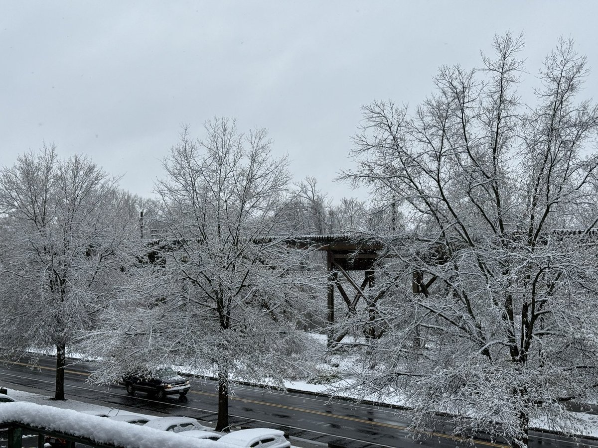 CatsChemVHS tweet media