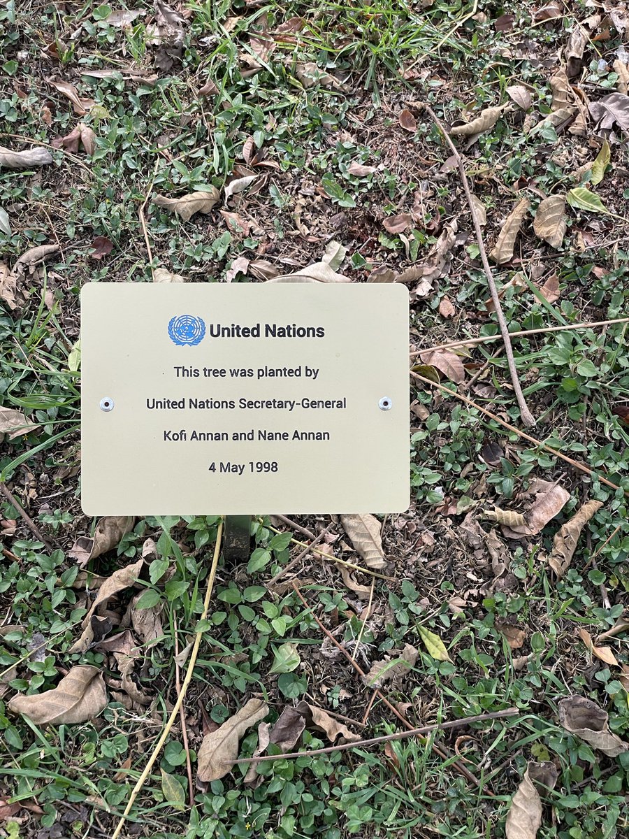 DjambaJd's tweet photo. Hier au Parc de @UNEP_Francais, j’ai pu rencontrer 3 personnalités qui ont marqué l’humanité : @KofiAnnan, @WangariMaathai et mon ami @Pontifex266_fr 
En ce 05/12, journée de l’Arbre en RDC🇨🇩, paraphrasons : Celui qui a planté un arbre avant de mourir aujourd’hui, vivra demain. https://t.co/aMDt49gyYS