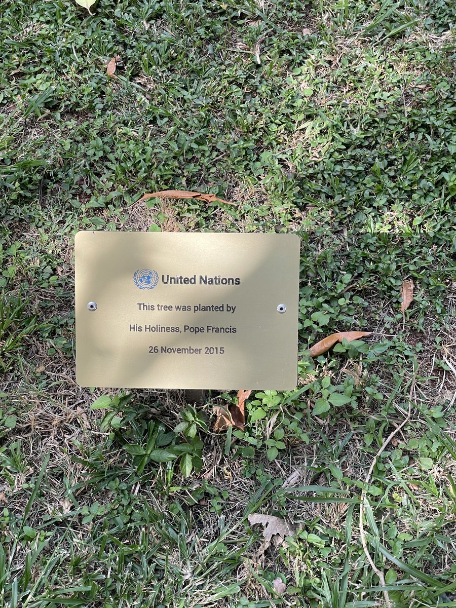 DjambaJd's tweet photo. Hier au Parc de @UNEP_Francais, j’ai pu rencontrer 3 personnalités qui ont marqué l’humanité : @KofiAnnan, @WangariMaathai et mon ami @Pontifex266_fr 
En ce 05/12, journée de l’Arbre en RDC🇨🇩, paraphrasons : Celui qui a planté un arbre avant de mourir aujourd’hui, vivra demain. https://t.co/aMDt49gyYS