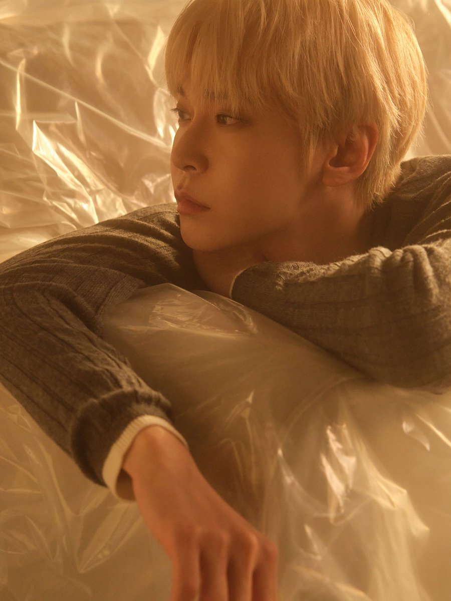 아 ㅁㅊ
설마 떠날준비를 하는거라
물건들을 비닐로 씌운거임??
먼지생기지말고그상태그대로있으라고??
네 퍙생 여기있을게요