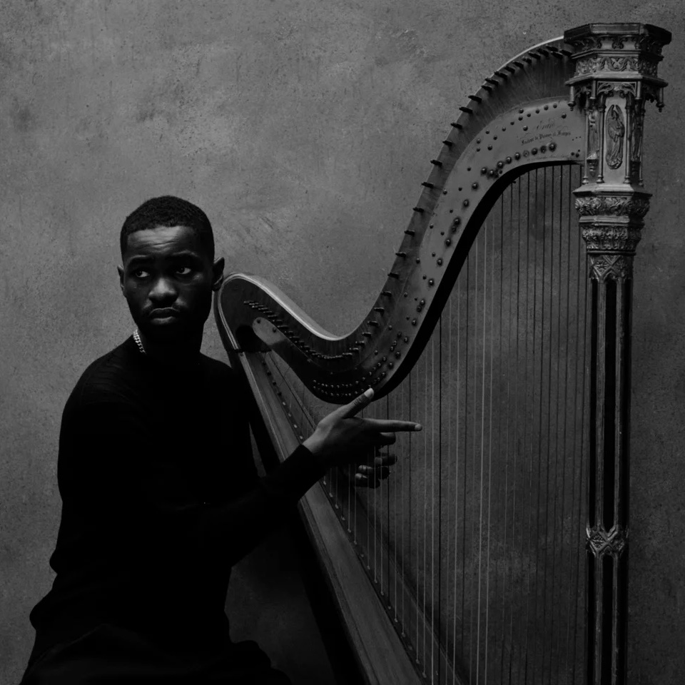 chartdata's tweet image. Dave's 'The Boy Who Played The Harp' is now certified Gold in the UK (@Santandave1).