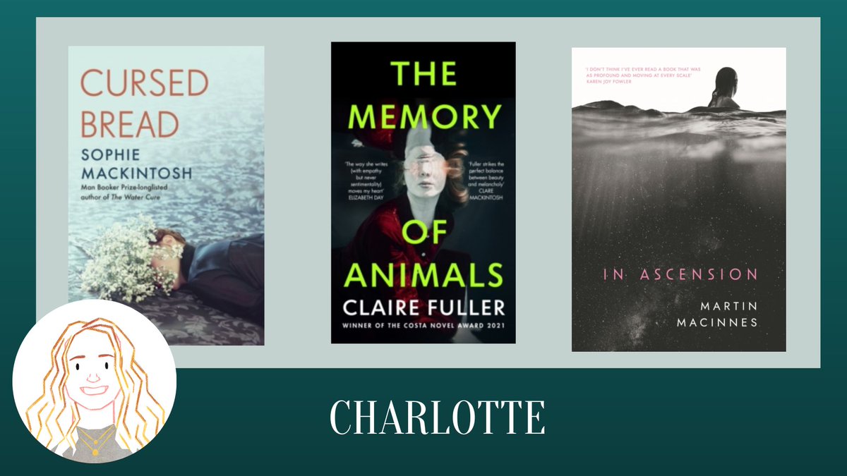 Haslemere Bookshop tweet media