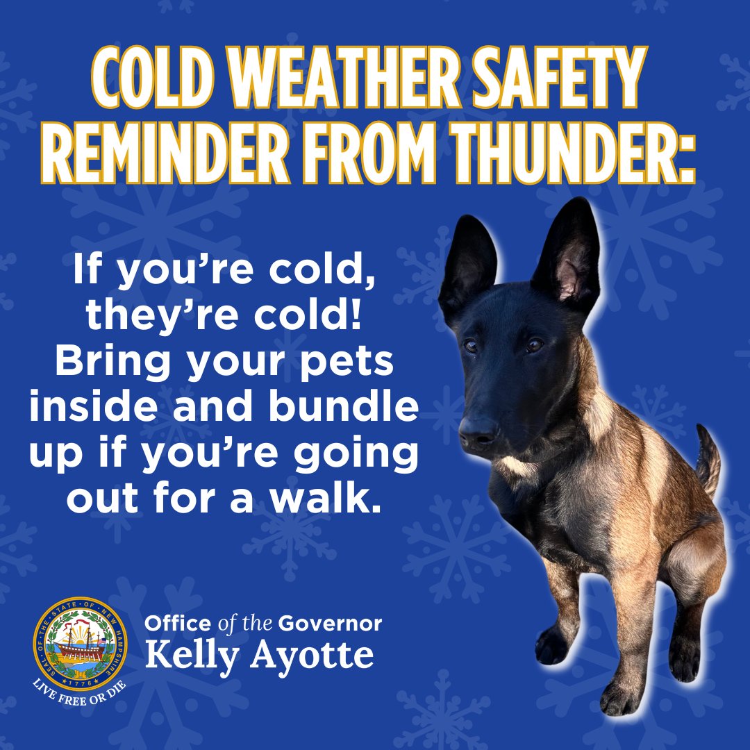 Governor Kelly Ayotte tweet media