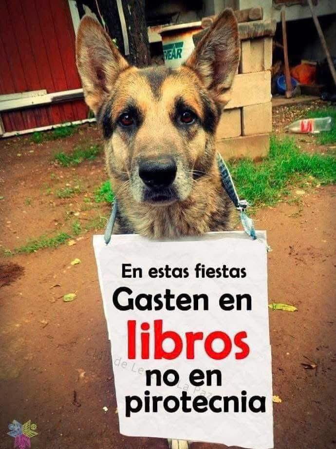 Libri_pedia's tweet photo. 👏👏👏 https://t.co/0rs4qKTdKy