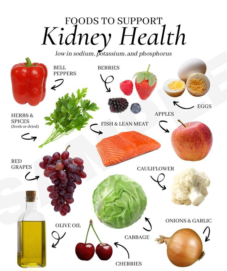 79834SA's tweet image. Foods to support our Kidney Health.
#Lifespan 🌿
