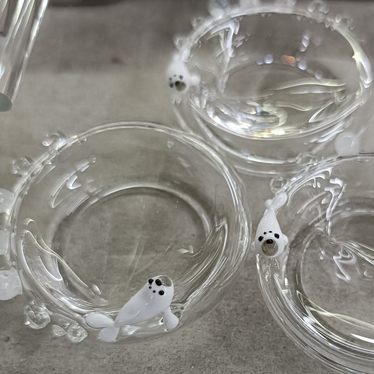 電気炉から無事に出てきて
こちらを見つめている仔たち🦭