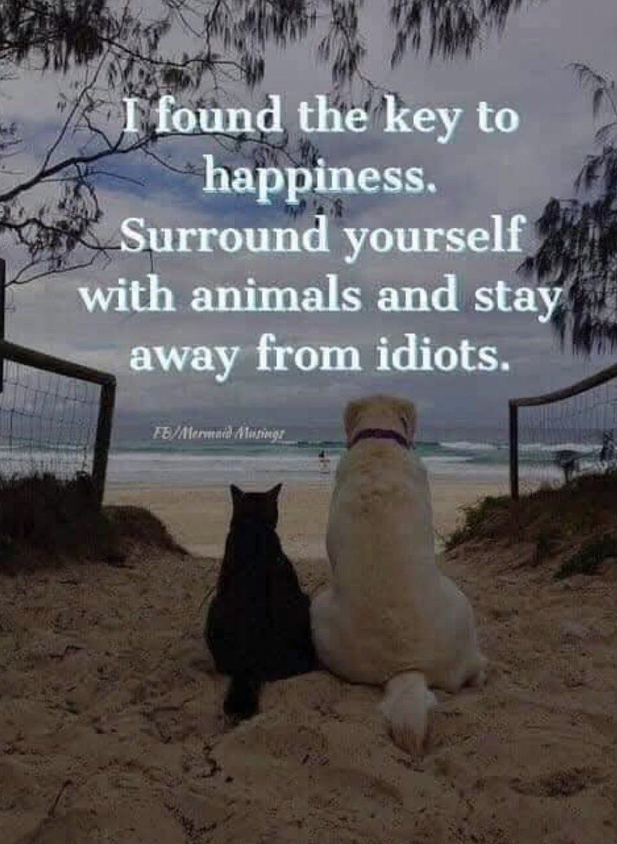 ReneeJewel71261's tweet photo. @CrazyVibes_1 https://t.co/WCIXXH0xRx