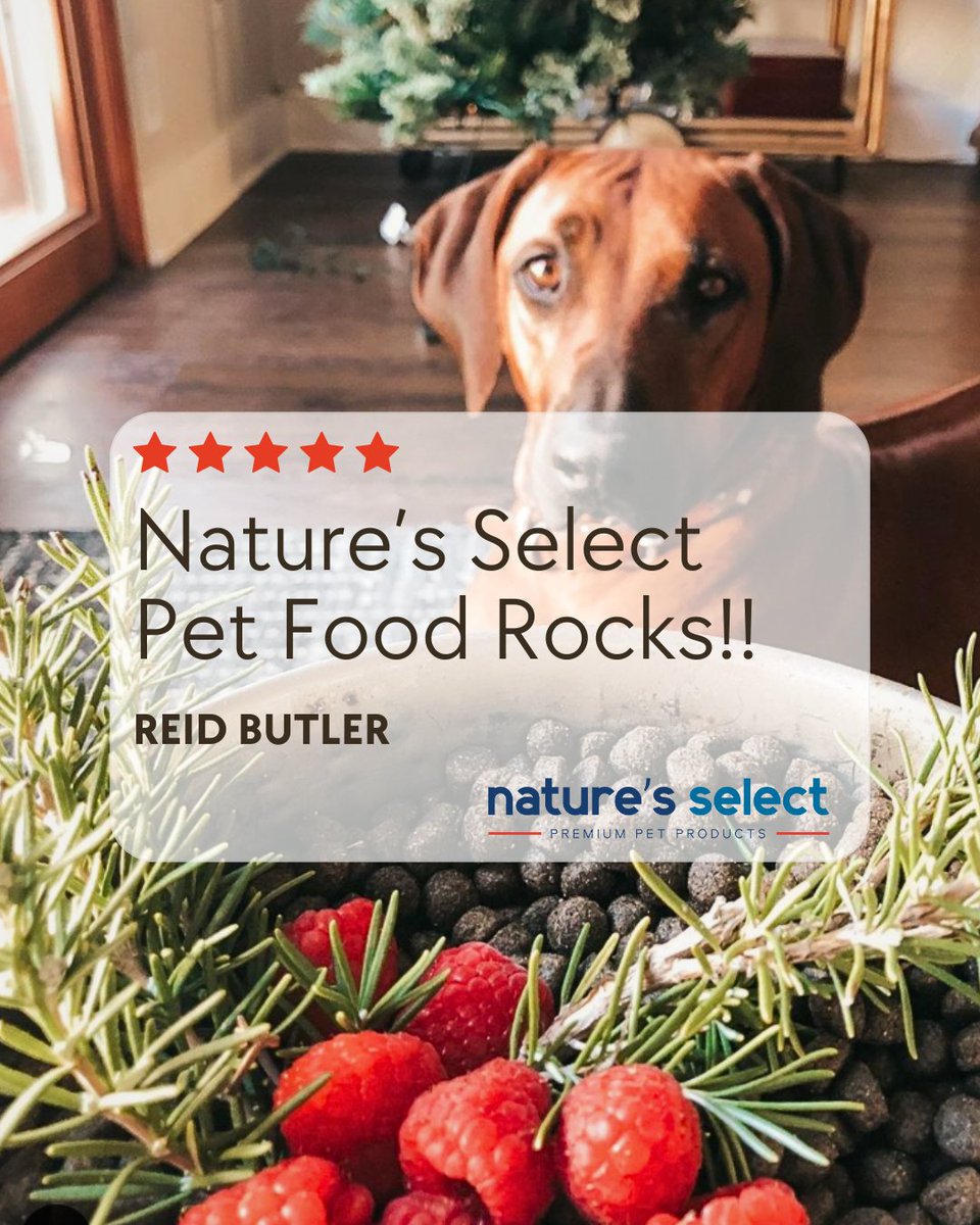 Nature's Select Pet Food tweet media
