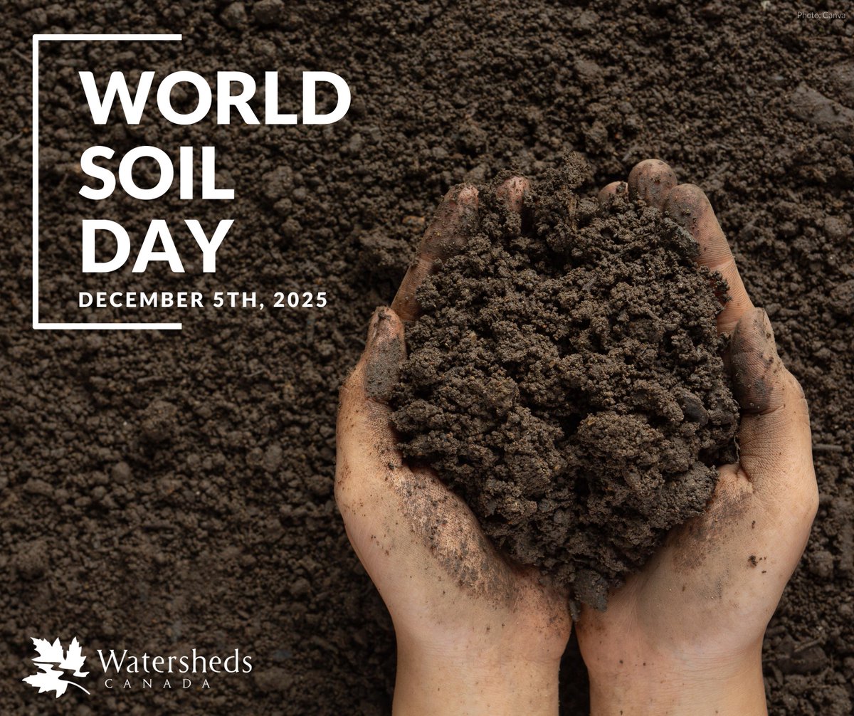 Happy World Soil Day! 🌱

Soil is a medium in which life grows. Plants - the start of the food chains that support almost everything else - require good soil conditions, and the impacts of soil quality on the ecosystem as a whole are, therefore, massive.

Celebrate this special