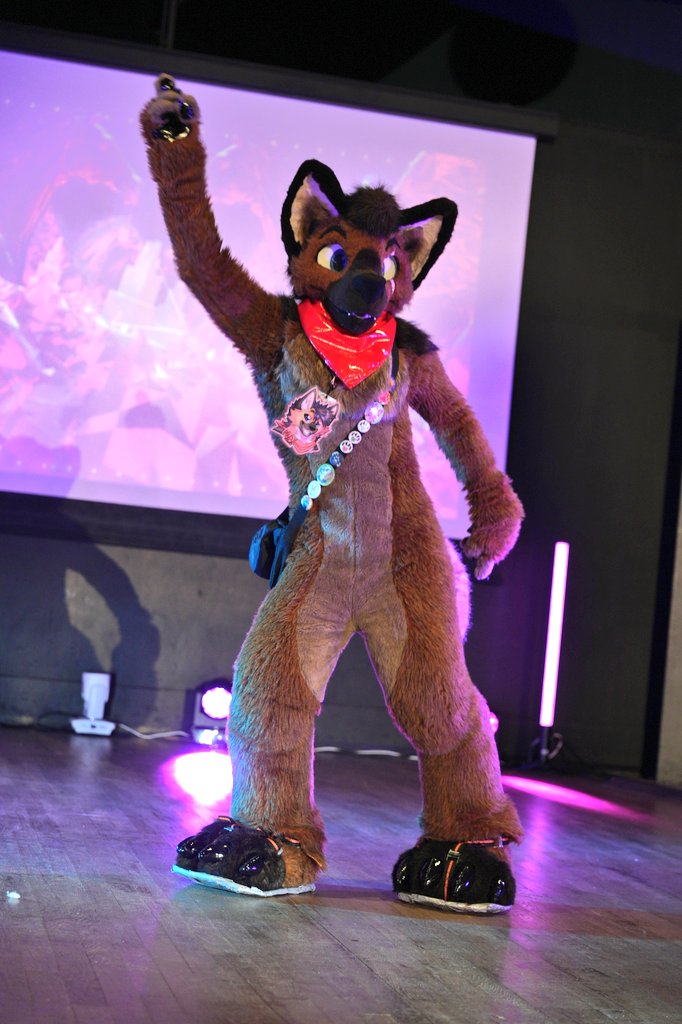 Max & Steamer tweet media