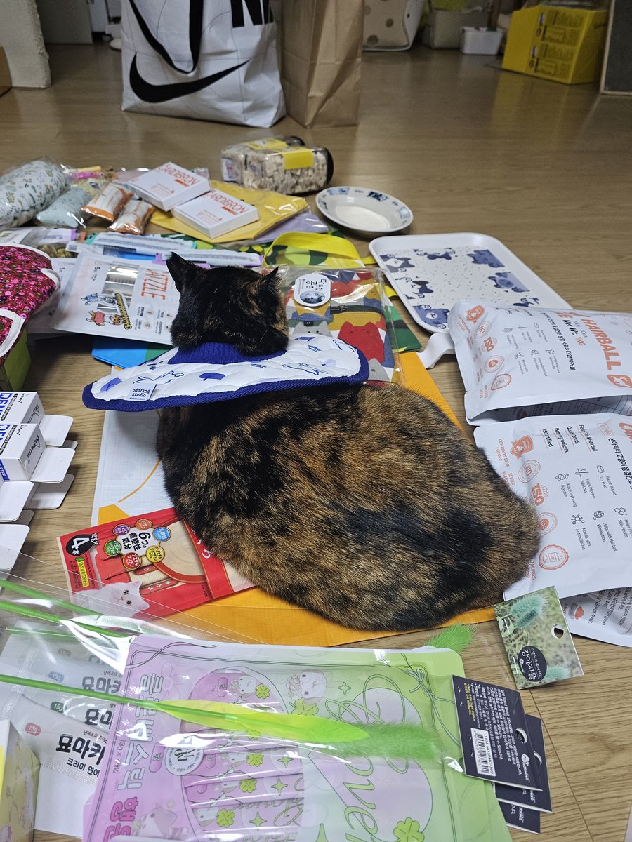 지금 영역표시 장난 아니심 절대 안 내려옴 어쩔 수 없이 정리는 내일로 미뤄야만 ( ͡° ͜ʖ ͡°)