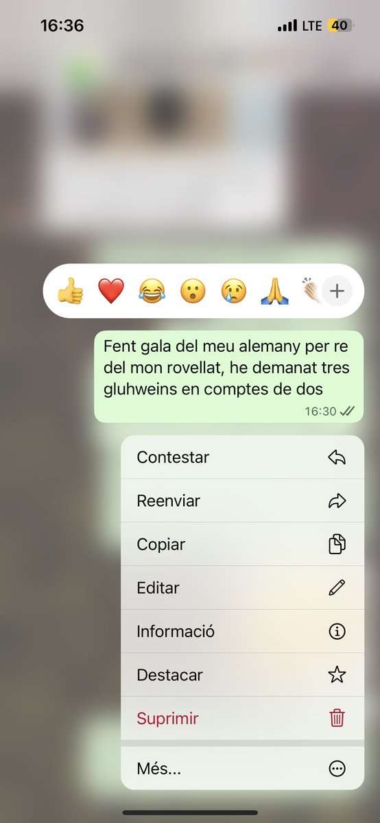 Maria tweet media
