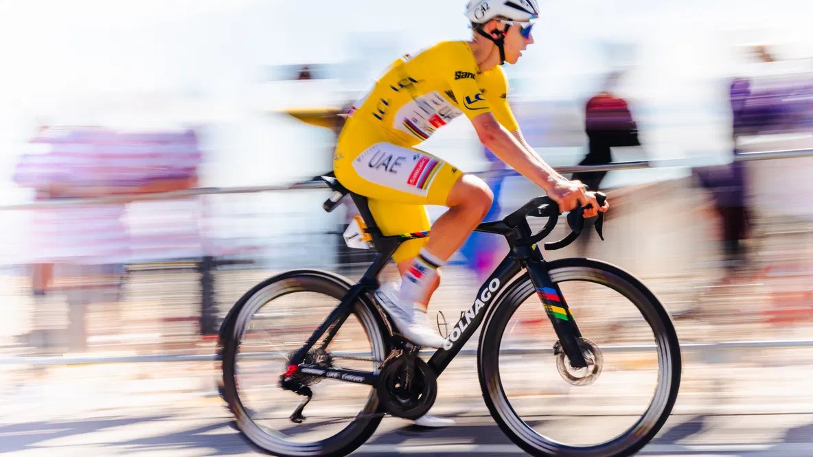 Domestique___'s tweet image. 💰 SOLD!

€163,430 for 🇸🇮 Pogacar's Mont Ventoux bike at Sotheby's auction

📰 domestiquecycling.com/en/news/pogaca…

📸 Harry Talbot