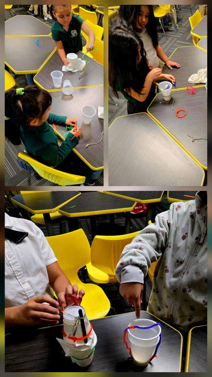 Gus the Gator tweet media