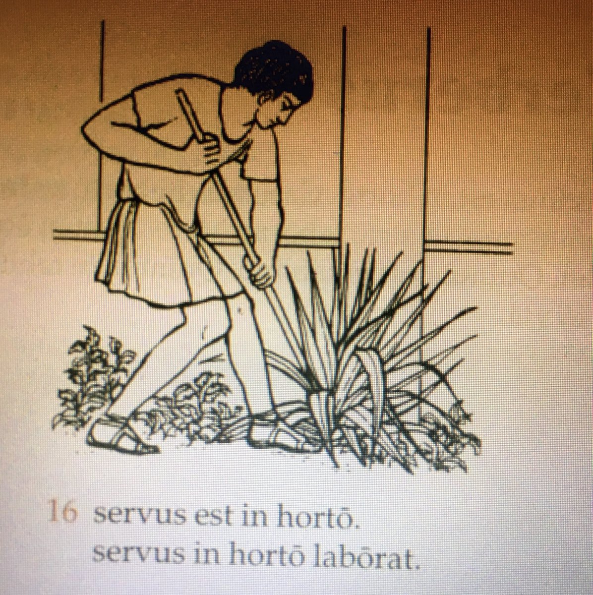 SpudgunO's tweet image. The slave is in the garden. The slave is working in the garden.