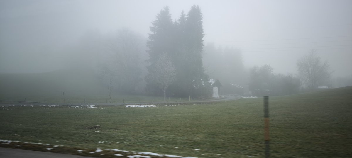 Einen schönen Start ins Wochenende.. ❄️🎄