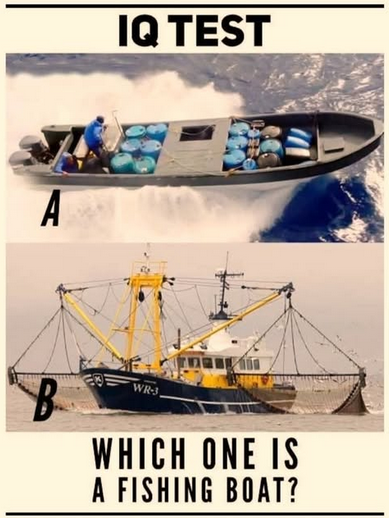 SaltyGoat tweet media