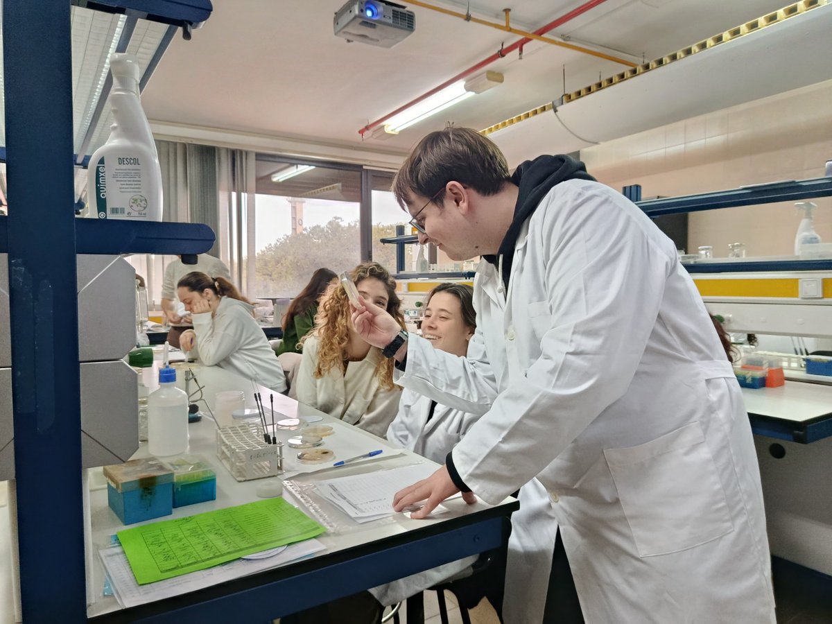 Micromón València. Tiny Earth, SWI, Micromundo tweet media